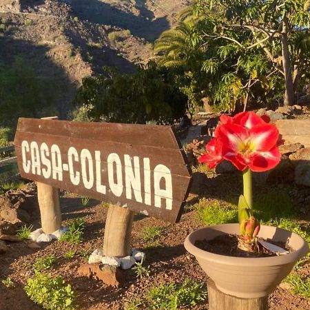 Casa Colonia Apartment Mogán Екстериор снимка
